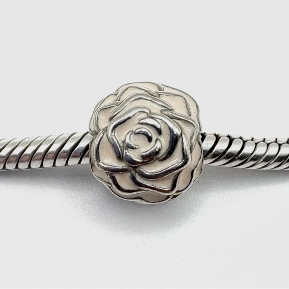 Pandora Rose Garden Love Sterling Silver Clip Charm - Picture 2 of 5